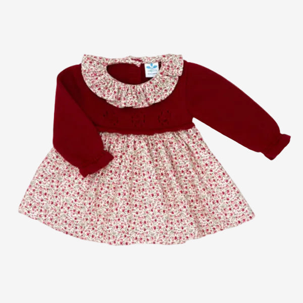 Baby Girls Burghundy Dress