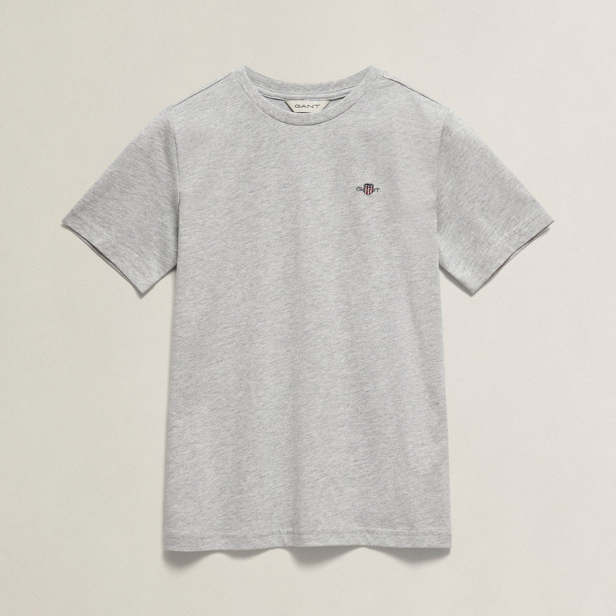 Boys Grey T-Shirt