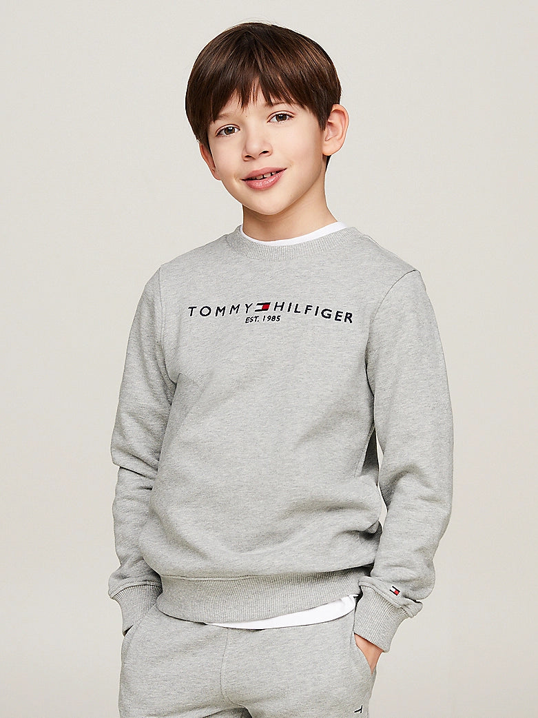 Grey orders tommy sweatshirt