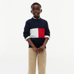Tommy Hilfiger Boys Navy Flag Cotton Cable Sweater - back view