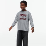 Tommy Hilfiger Boys Grey Sweatshirt - back view