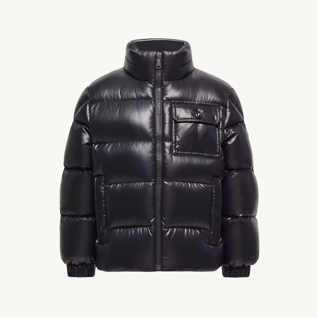 A black puffer jacket with a high collar and front zipper, shown against a plain off-white background.