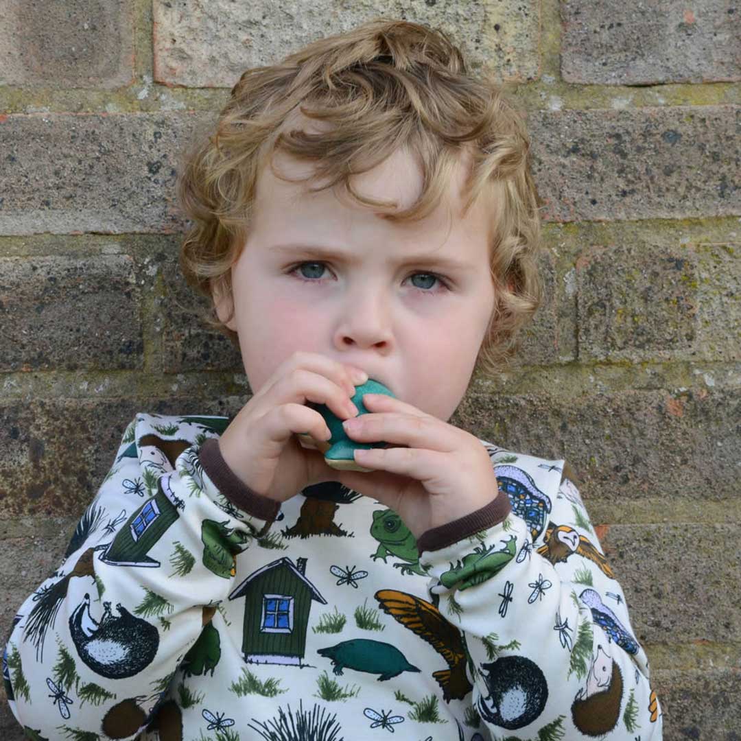Plan Toys Dolphin Whistle | Casa Childrenswear