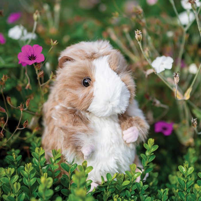 Wrendale Designs Guinea Pig Large Plush | Casa Childrenswear
