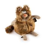 Sigikid Fritten Fritze Cat | Casa Childrenswear