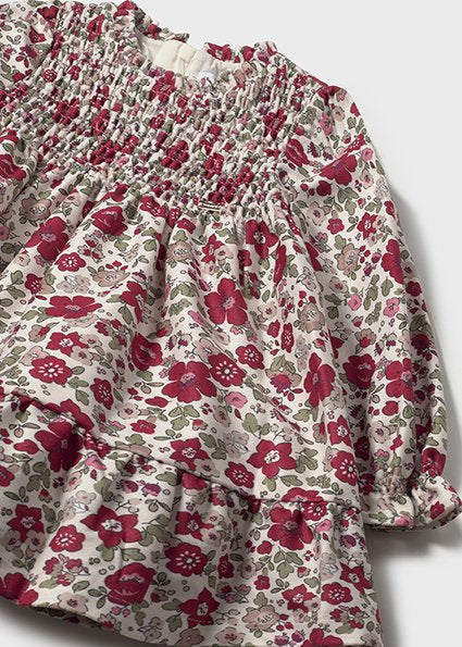 Red Flower Print Velvet Dress