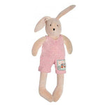 Little Sylvain the rabbit