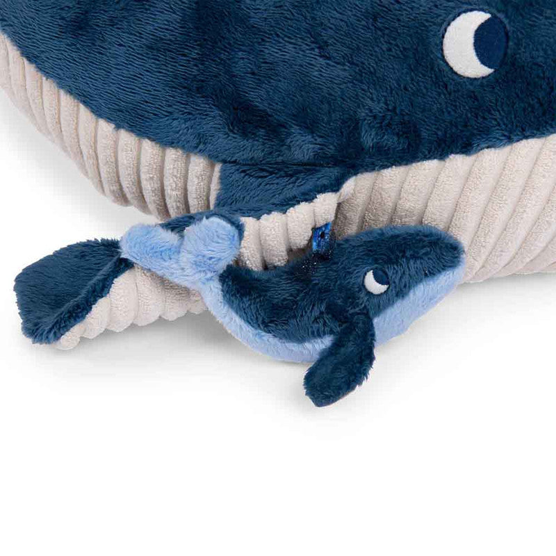 Large activity whale