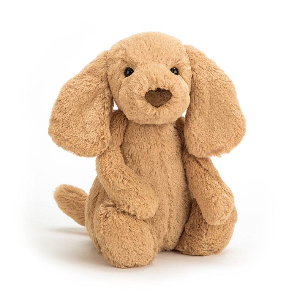 Jellycat Bashful Toffee Puppy Really Big - front view