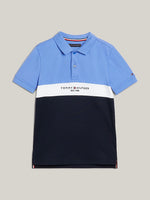 Established Blue Clorblock Polo