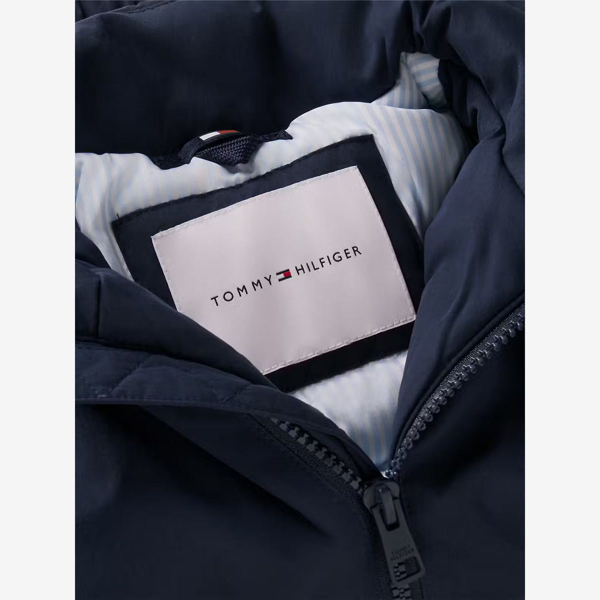 Boys Navy Padded Jacket