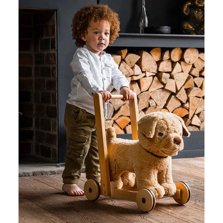Dexter Dog Baby Walker