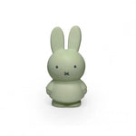 Miffy Money Box Medium - Eucalyptus Green - 19cm