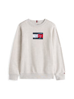 Grey Script Flag Sweatshirt