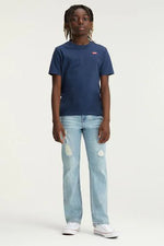 Batwing Blue Chest Basic Tee