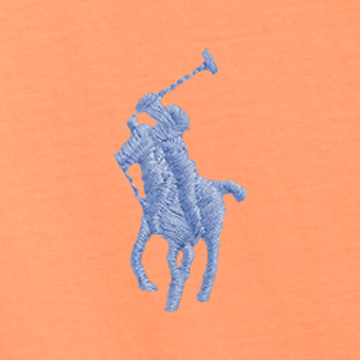 Cotton Jersey Crewneck T-Shirt Orange