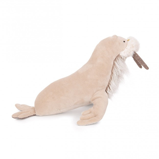 Small Walrus
