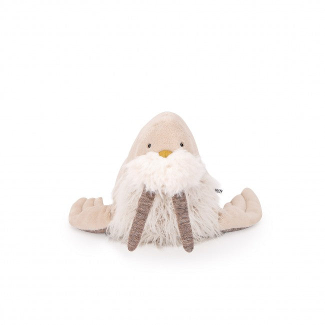 Small Walrus