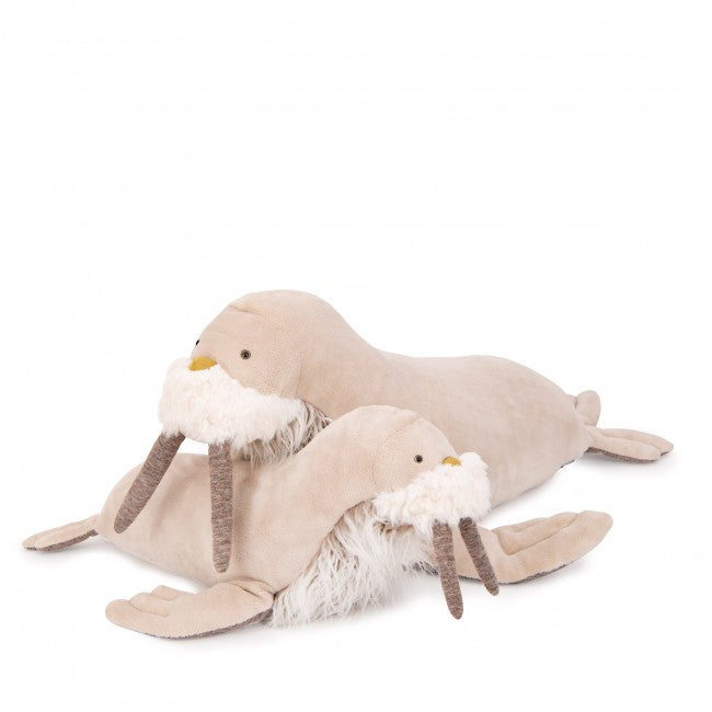 Small Walrus